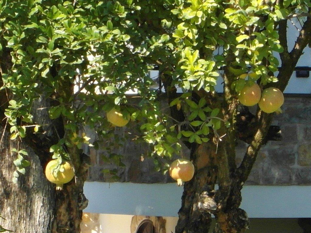 B&B Villa Lura Pompei Ruang foto